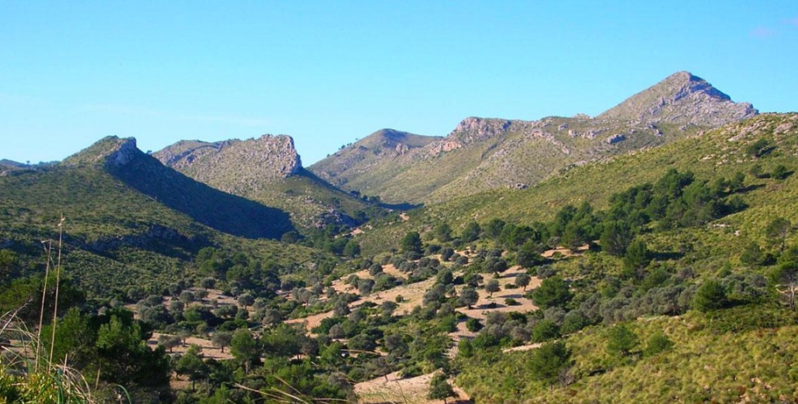 Serra de Llevant